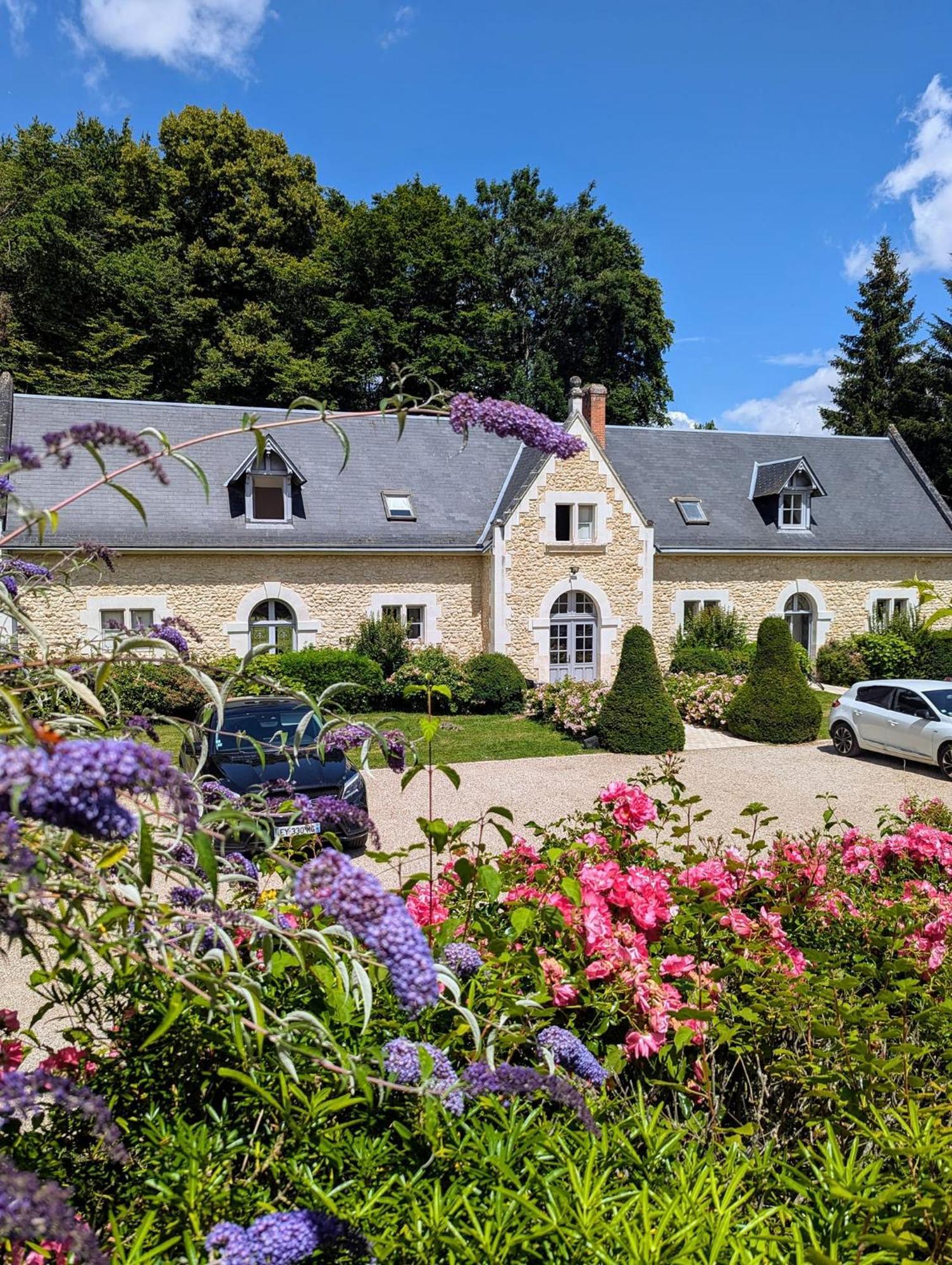 Chateau De La Menaudiere Chissay-en-Touraine Exterior foto